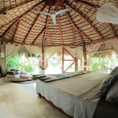 Dream Glamping Jungle Bohio 호텔 라스테레나스 외부 사진