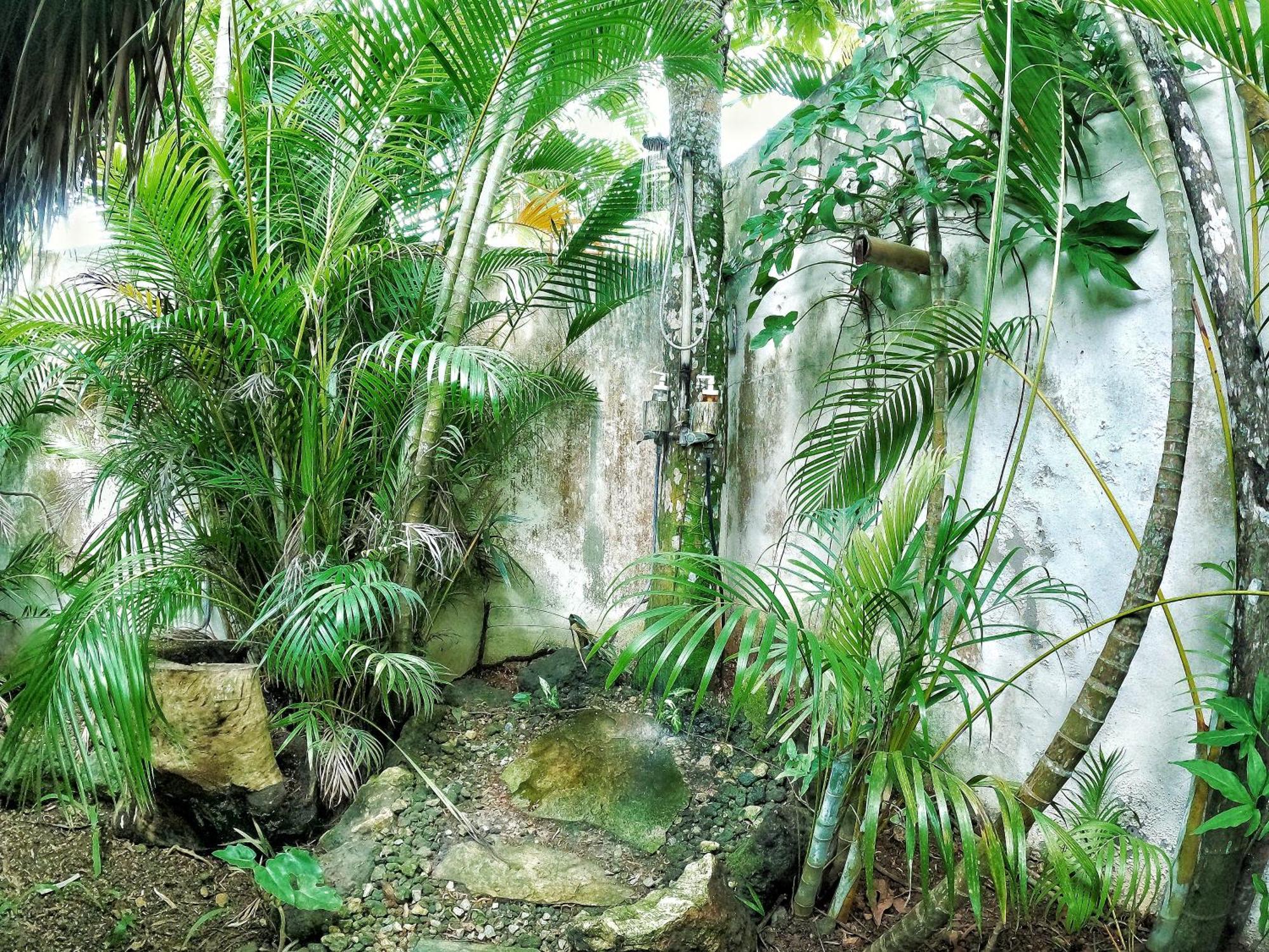 Dream Glamping Jungle Bohio 호텔 라스테레나스 외부 사진