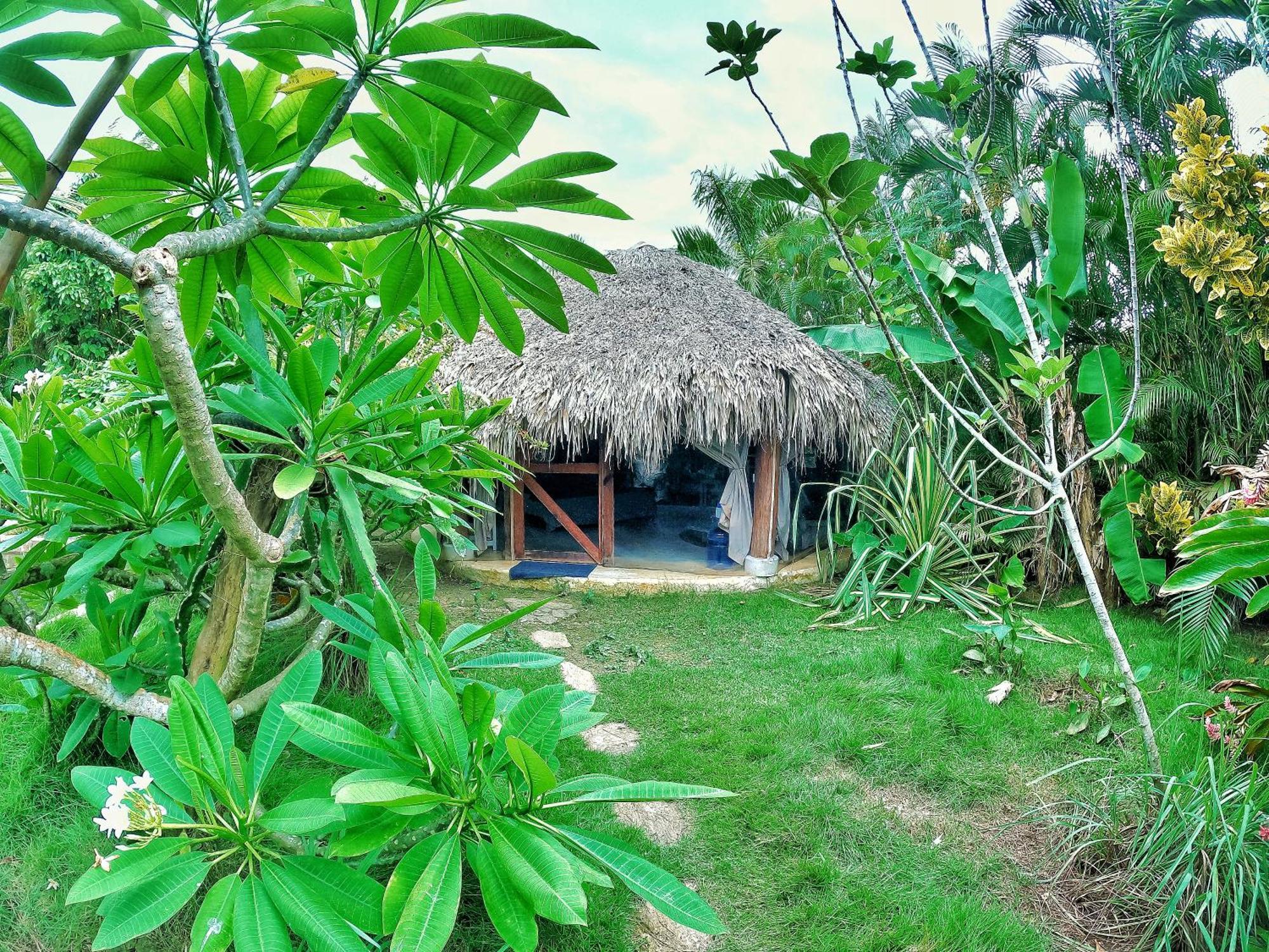 Dream Glamping Jungle Bohio 호텔 라스테레나스 외부 사진