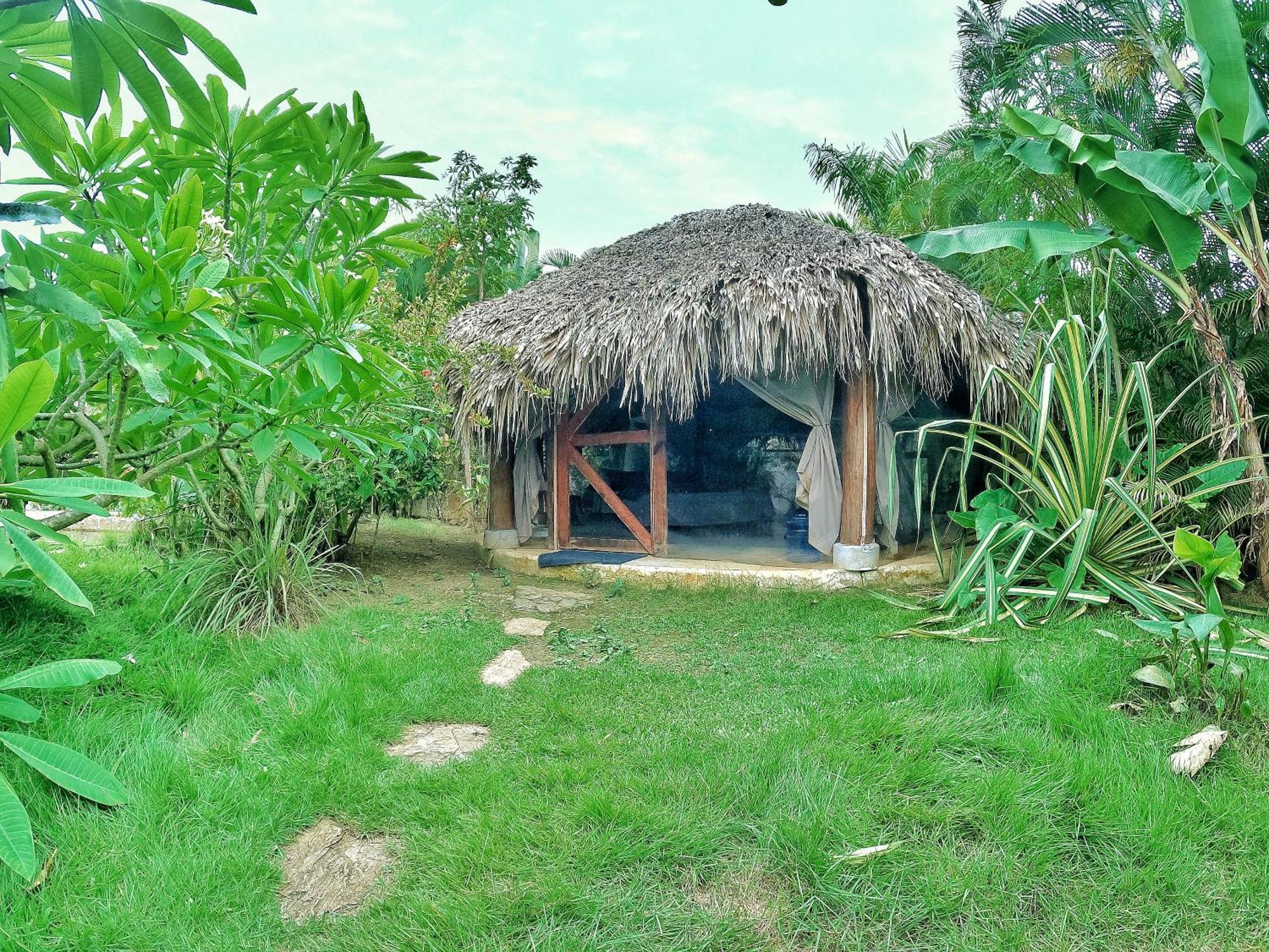 Dream Glamping Jungle Bohio 호텔 라스테레나스 외부 사진